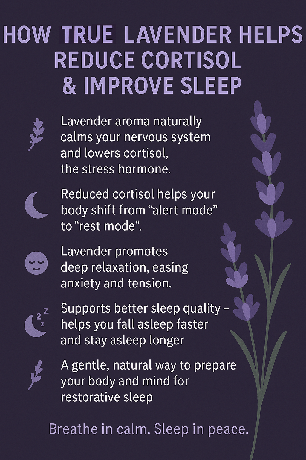 💜 How True Lavender Helps Reduce Cortisol & Improve Sleep - Just a Few Micro Drops Before Bedtime 🌙💧