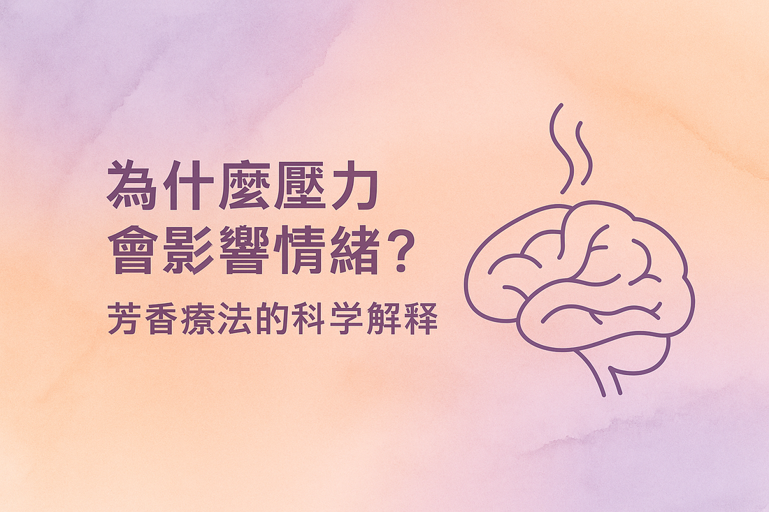 🌿 為什麼壓力會影響情緒？芳香療法的科學解釋