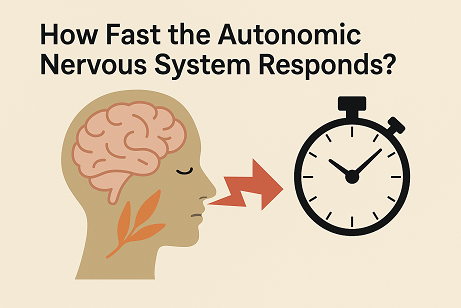 精油吸收方式 × 速度比較：自律神經接收訊號的反應時間